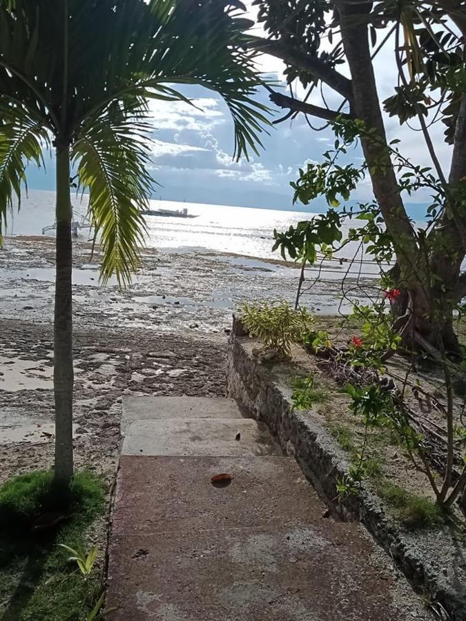 Bonita Oasis Beach Resort Moalboal Exterior photo