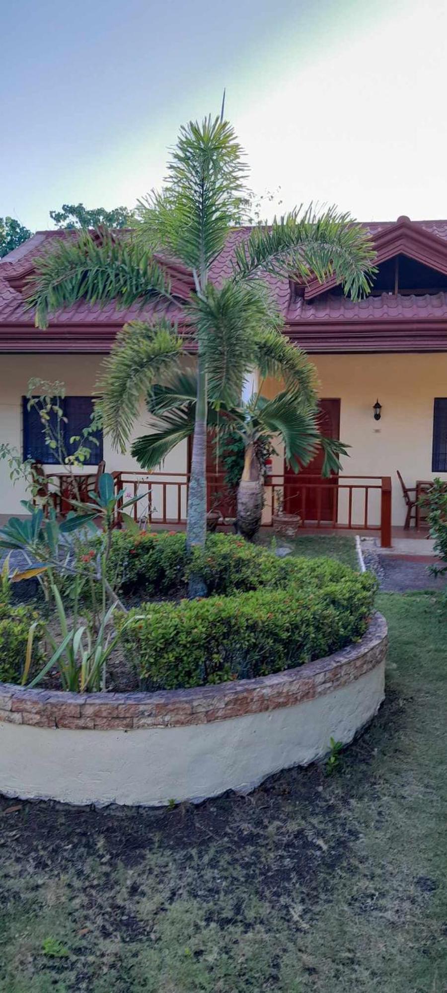 Bonita Oasis Beach Resort Moalboal Exterior photo